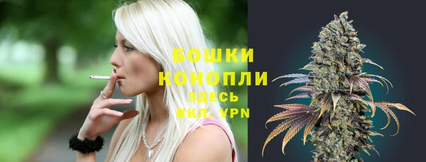 индика Осташков