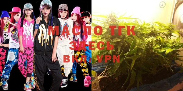 индика Осташков