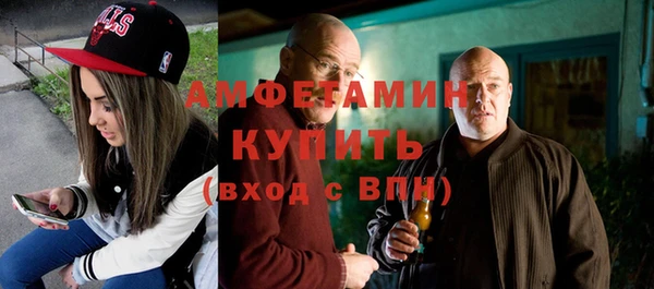 хмурый Пересвет