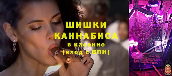 индика Осташков