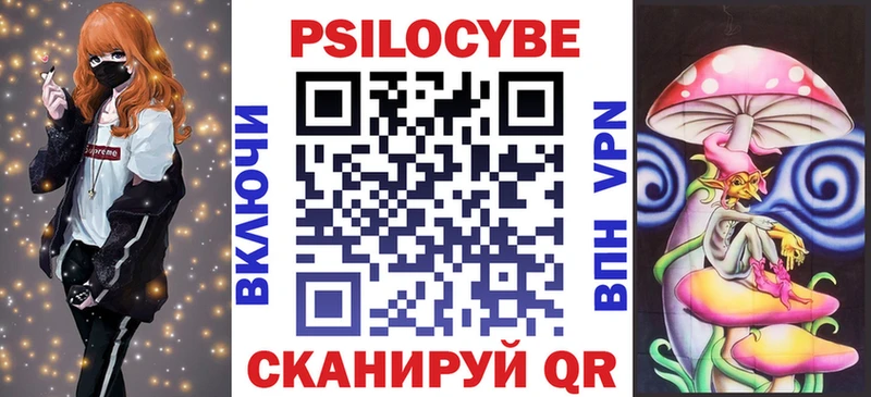 Галлюциногенные грибы Psilocybe  Купить где  Новомосковск 